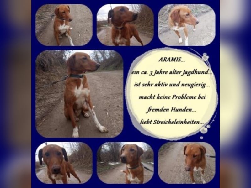 Aramis