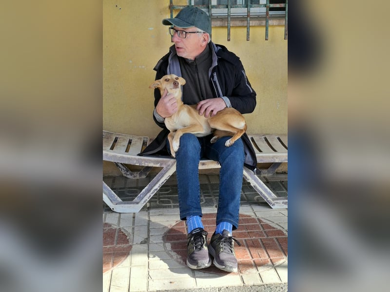 ODA (auf Pflege in 79361 Sasbach-Jechtingen)