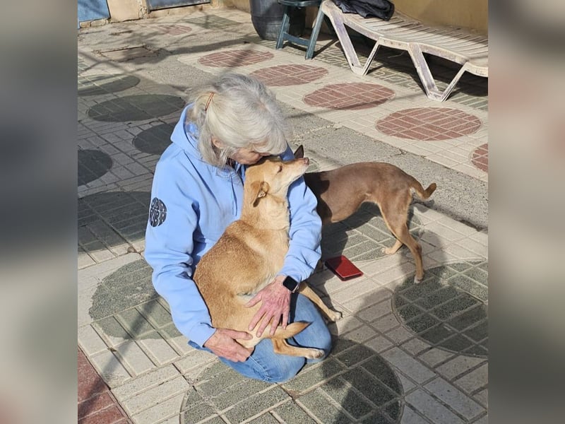 ODA (auf Pflege in 79361 Sasbach-Jechtingen)