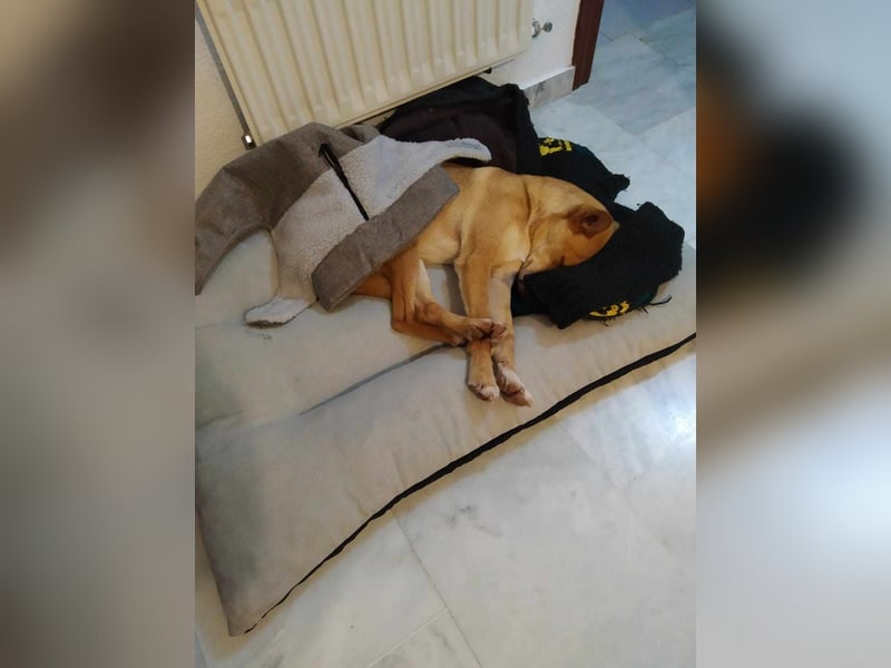 ODA (auf Pflege in 79361 Sasbach-Jechtingen)