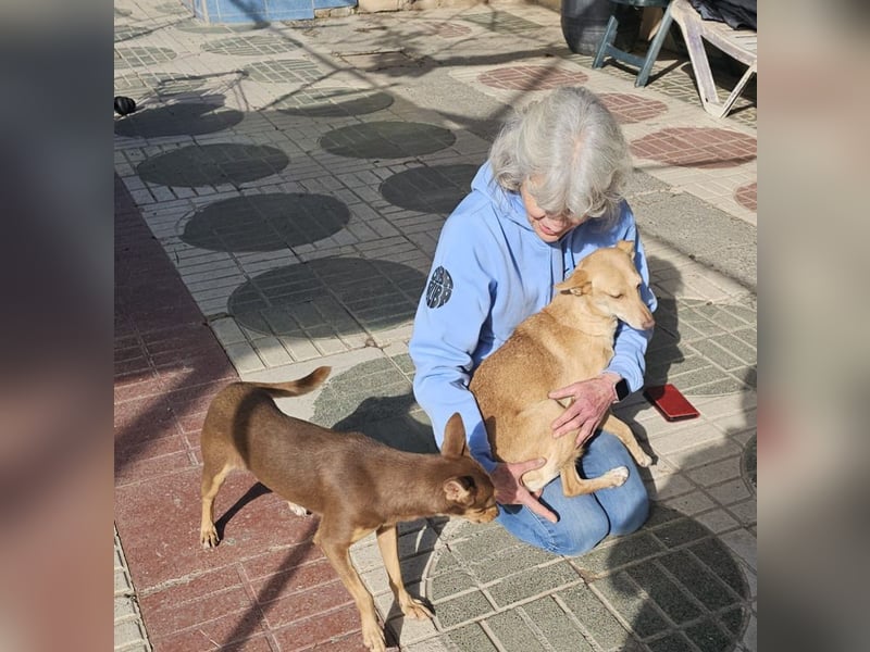 ODA (auf Pflege in 79361 Sasbach-Jechtingen)