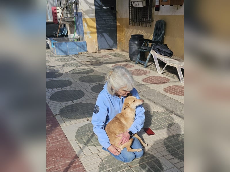 ODA (auf Pflege in 79361 Sasbach-Jechtingen)