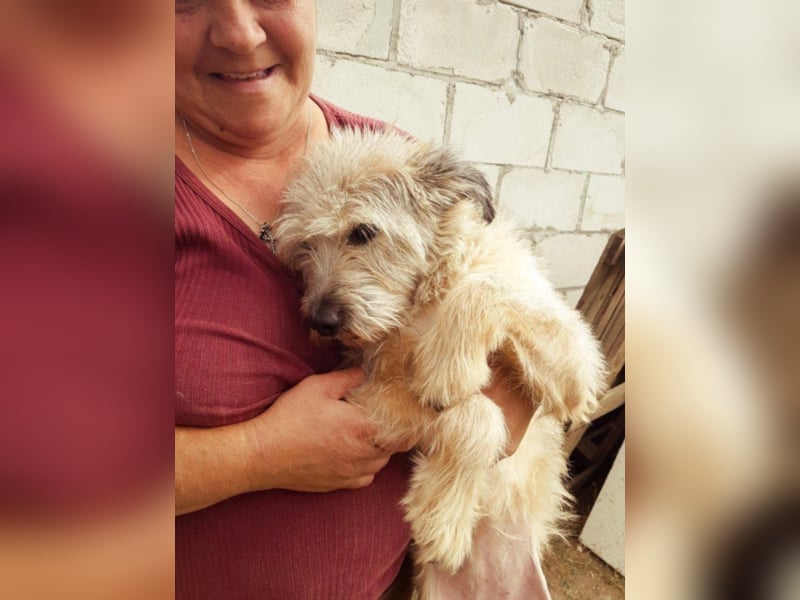 CHESTA sucht ein Zuhause