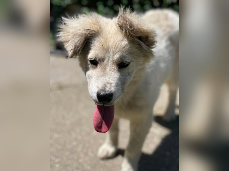 BETTY - wo findet sie ihr Glück?
