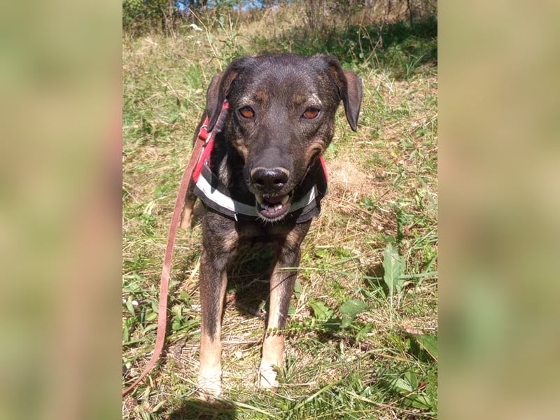 MAYA - tolle Freizeitpartnerin sucht ihr Glück