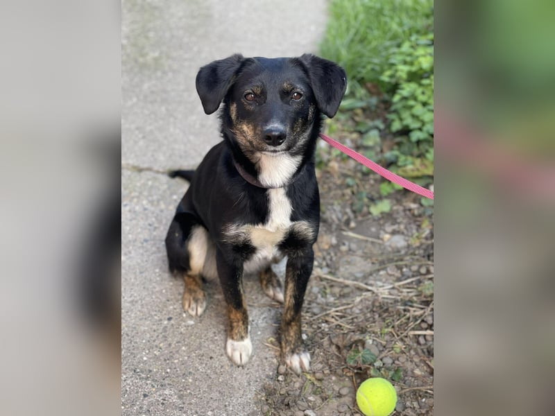 DORIS - Traumzuhause gesucht