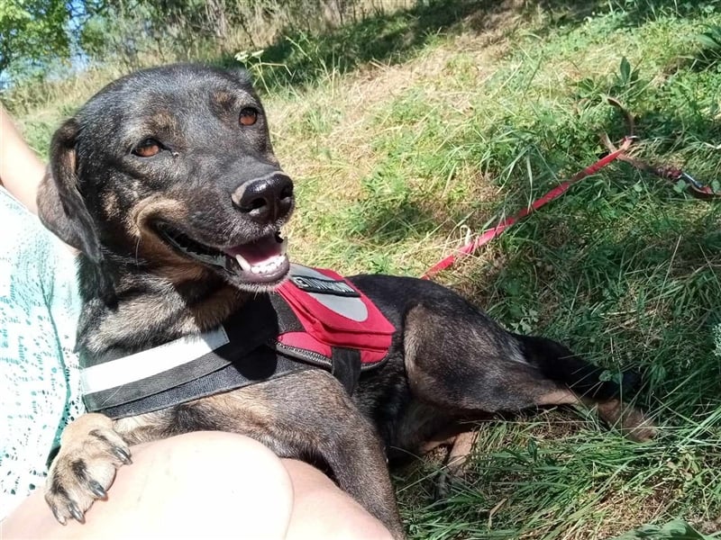 MAYA - tolle Freizeitpartnerin sucht ihr Glück