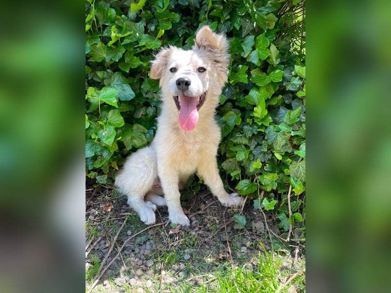 BETTY - wo findet sie ihr Glück?