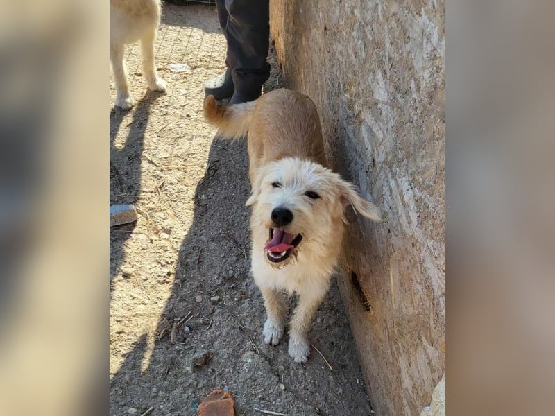 ERWIN - die kleine Knutschkugel