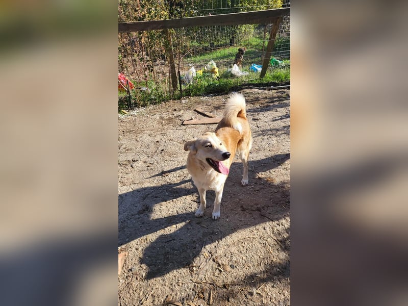 LENNI - bringt Lebensfreude ins Haus