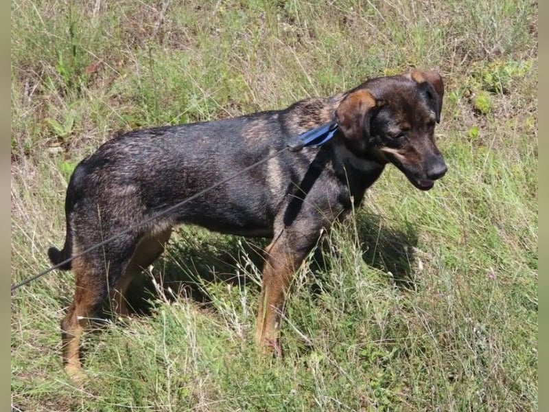 MAYA - tolle Freizeitpartnerin sucht ihr Glück