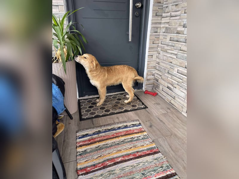 CRUMPET - verspielte Schönheit