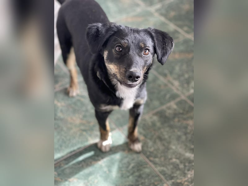 DORIS - Traumzuhause gesucht