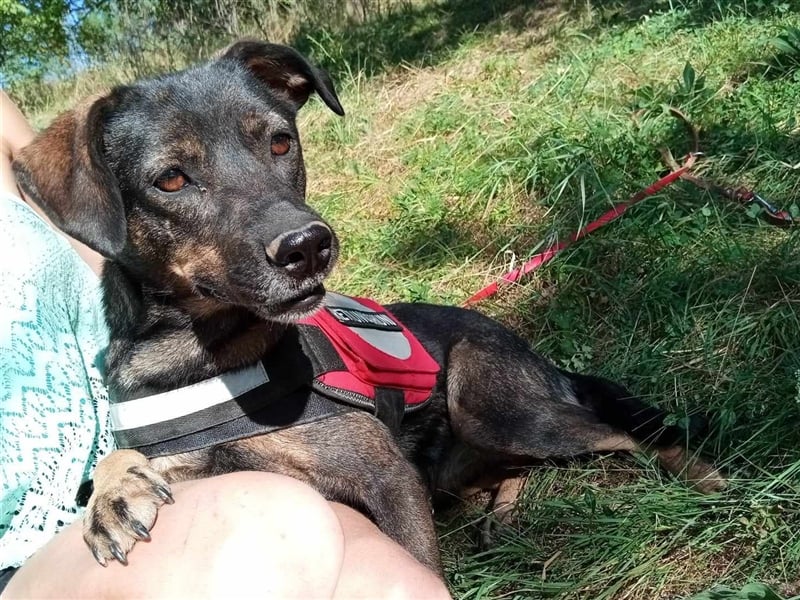 MAYA - tolle Freizeitpartnerin sucht ihr Glück