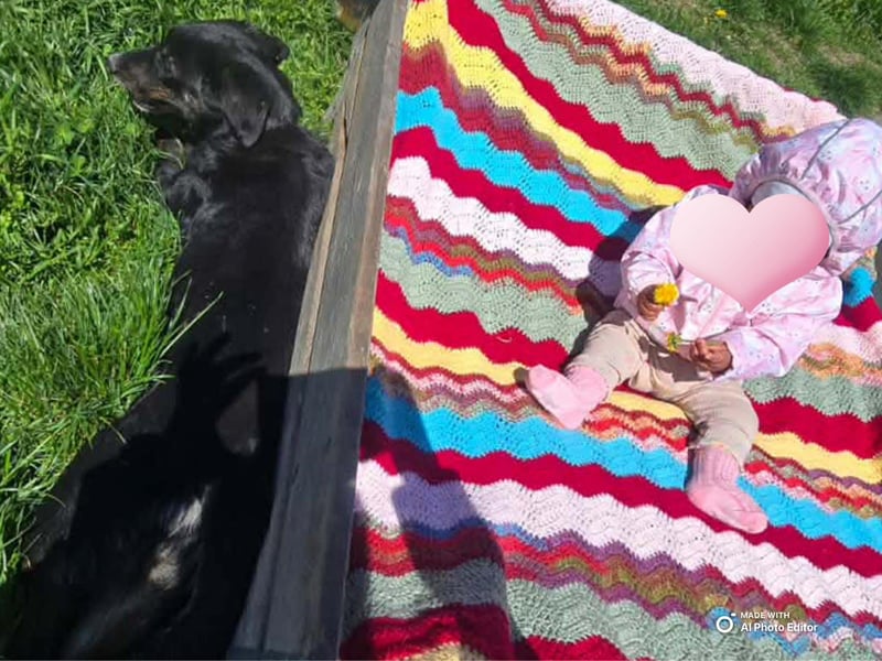 DORIS - Traumzuhause gesucht