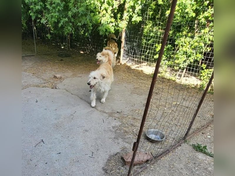 LUCA - ist bereit für Abenteuer *reserviert*