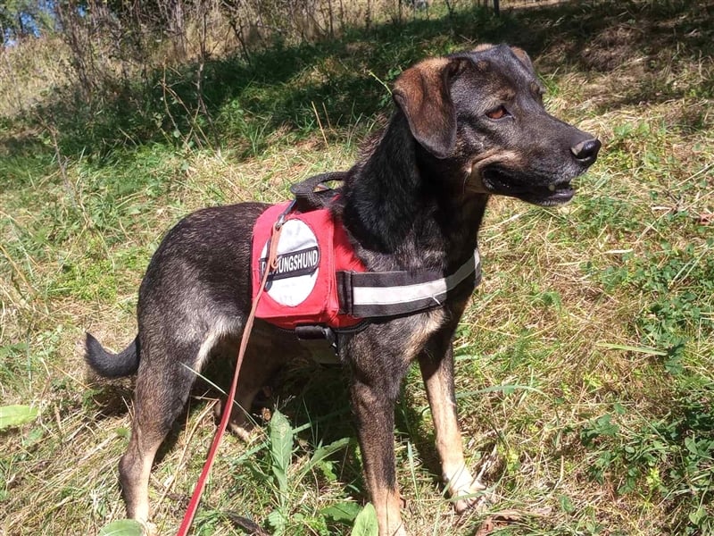 MAYA - tolle Freizeitpartnerin sucht ihr Glück