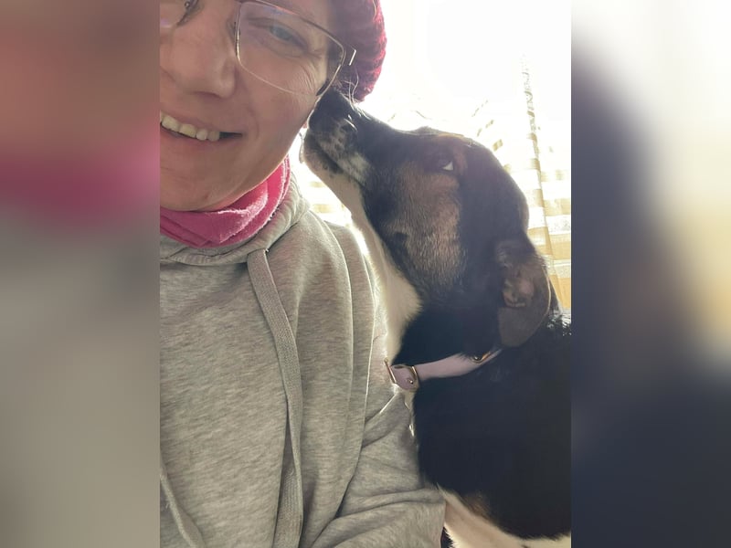 MELODY - Traumzuhause gesucht