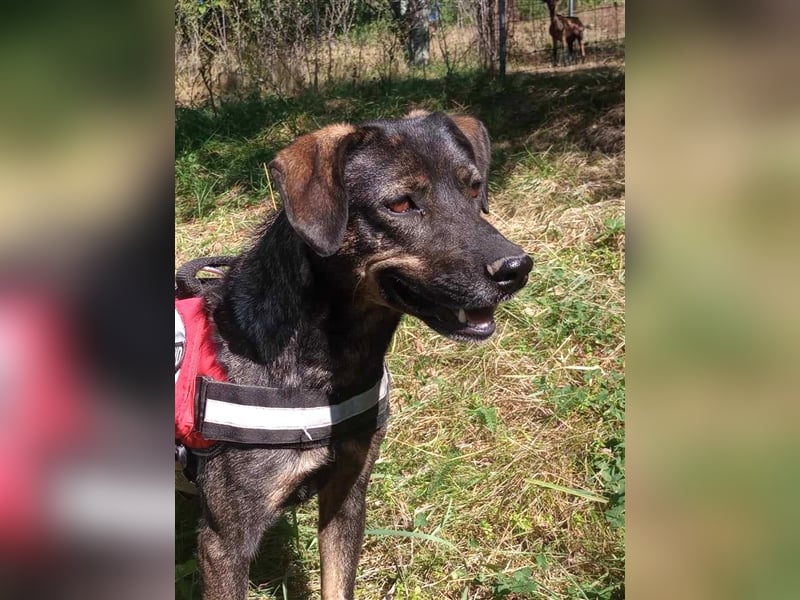 MAYA - tolle Freizeitpartnerin sucht ihr Glück