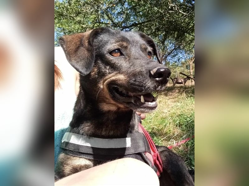 MAYA - tolle Freizeitpartnerin sucht ihr Glück