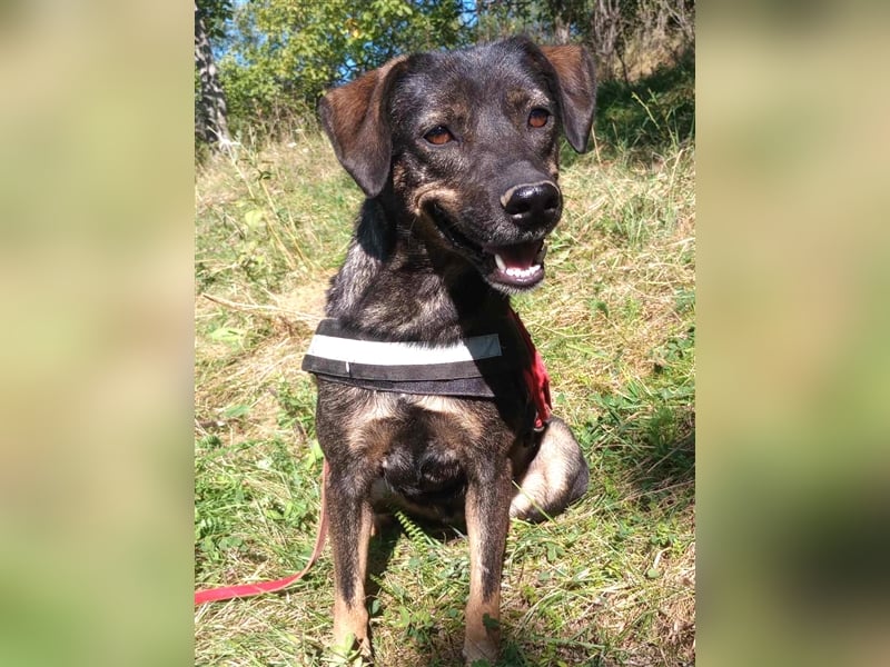 MAYA - tolle Freizeitpartnerin sucht ihr Glück