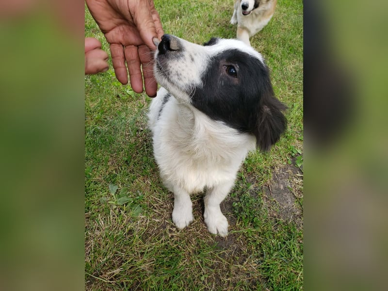YURA - wo findet er sein Glück?