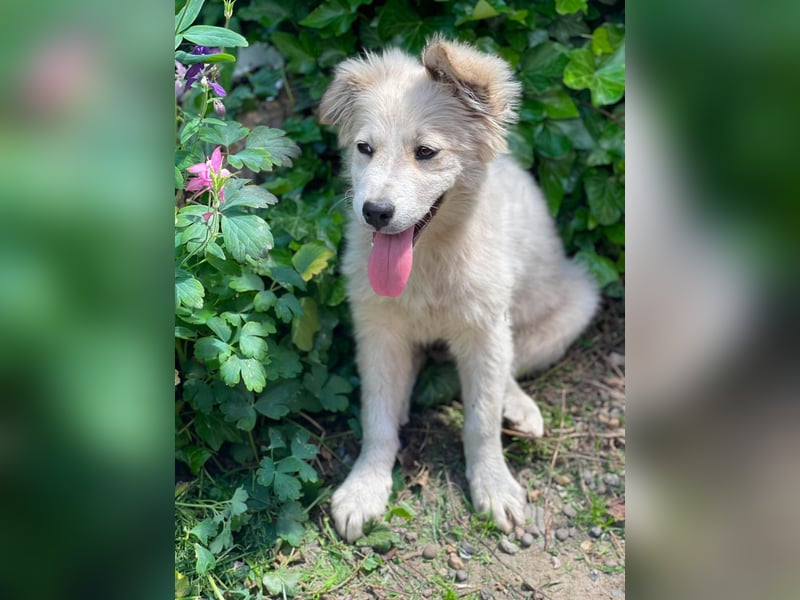 BETTY - wo findet sie ihr Glück?