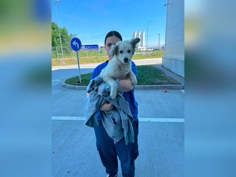 BETTY - wo findet sie ihr Glück?