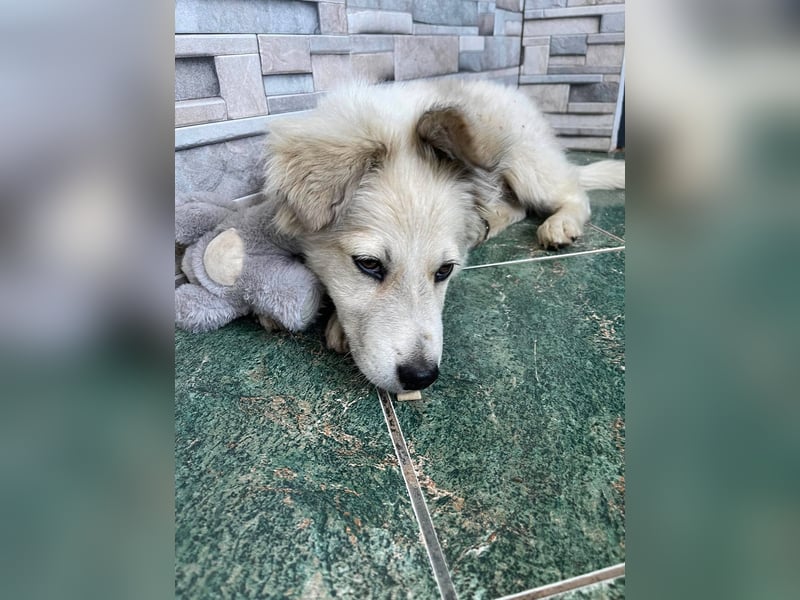 BETTY - wo findet sie ihr Glück?