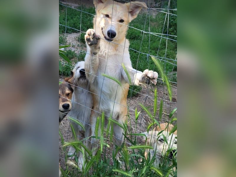 LENNI - bringt Lebensfreude ins Haus