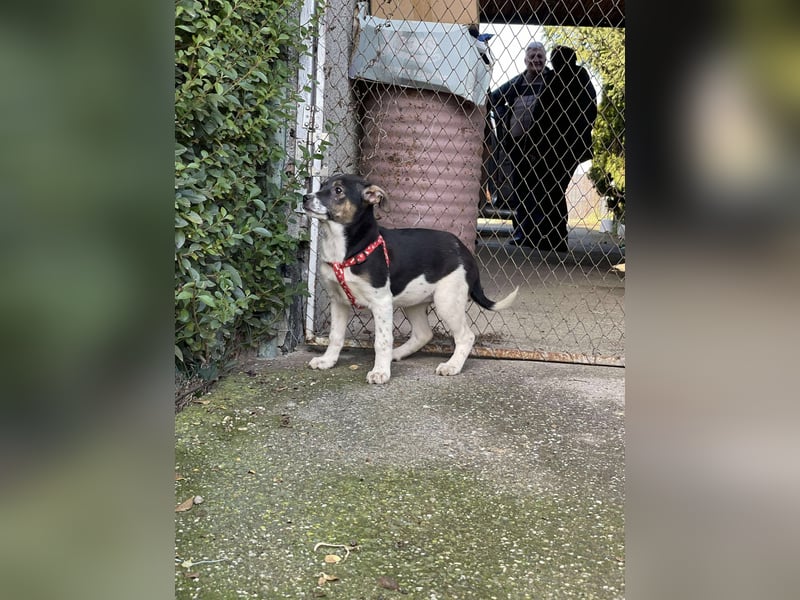 MELODY - Traumzuhause gesucht