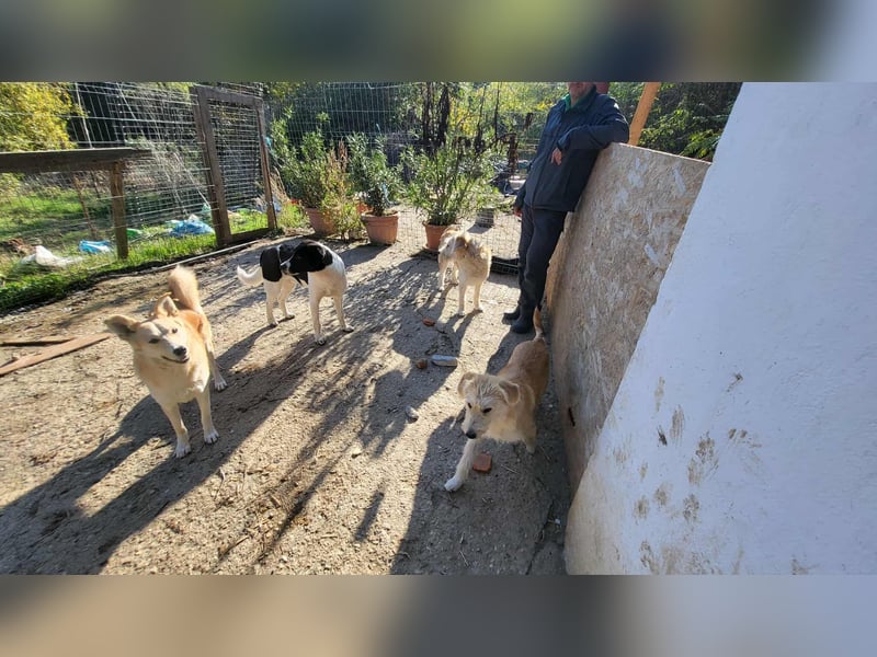 LENNI - bringt Lebensfreude ins Haus