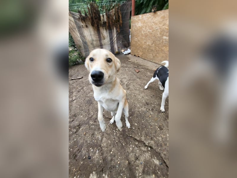 LENNI - bringt Lebensfreude ins Haus