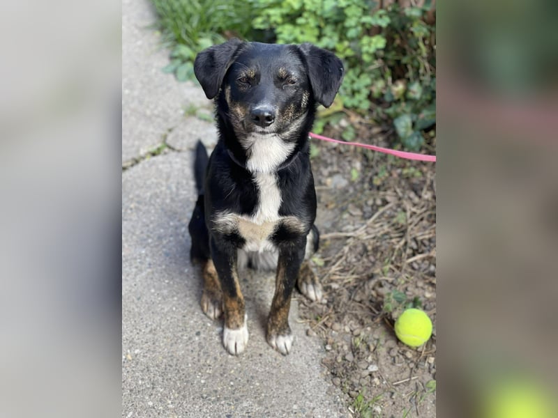 DORIS - Traumzuhause gesucht