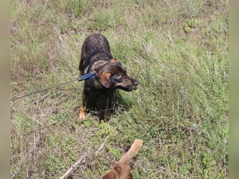 MAYA - tolle Freizeitpartnerin sucht ihr Glück