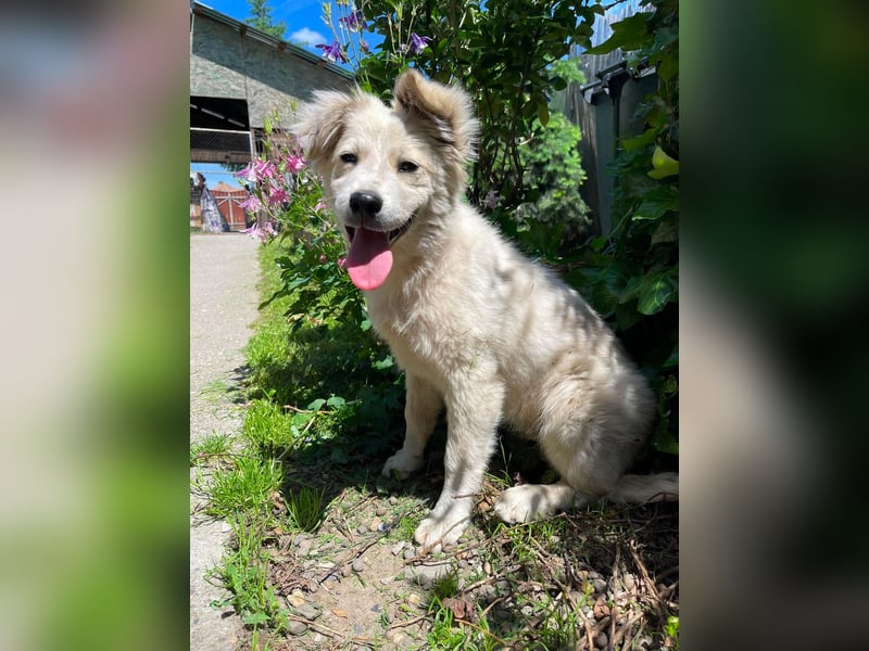 BETTY - wo findet sie ihr Glück?
