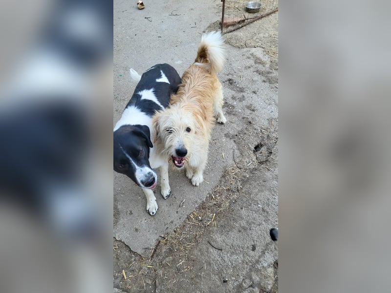 LUCA - ist bereit für Abenteuer *reserviert*