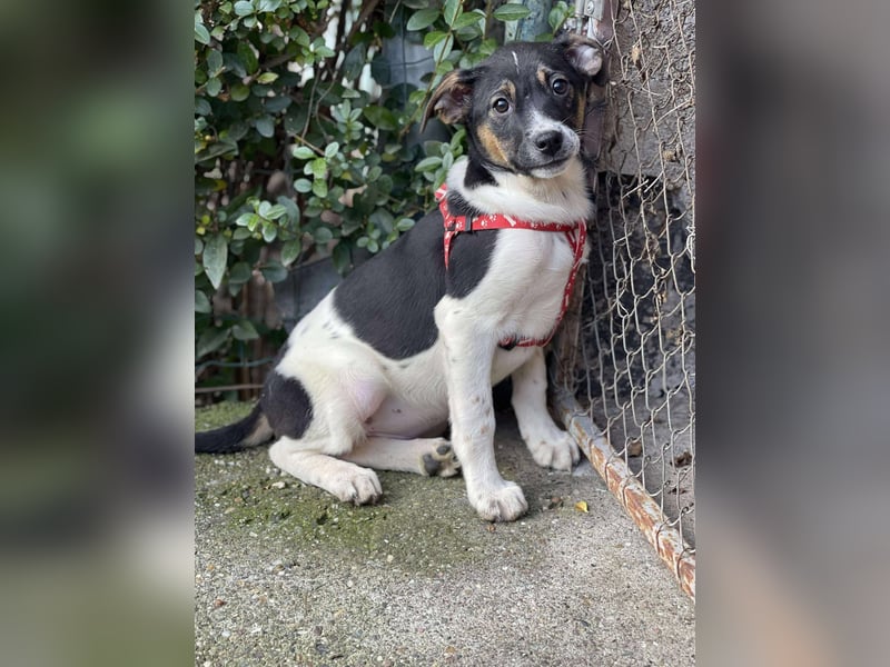 MELODY - Traumzuhause gesucht