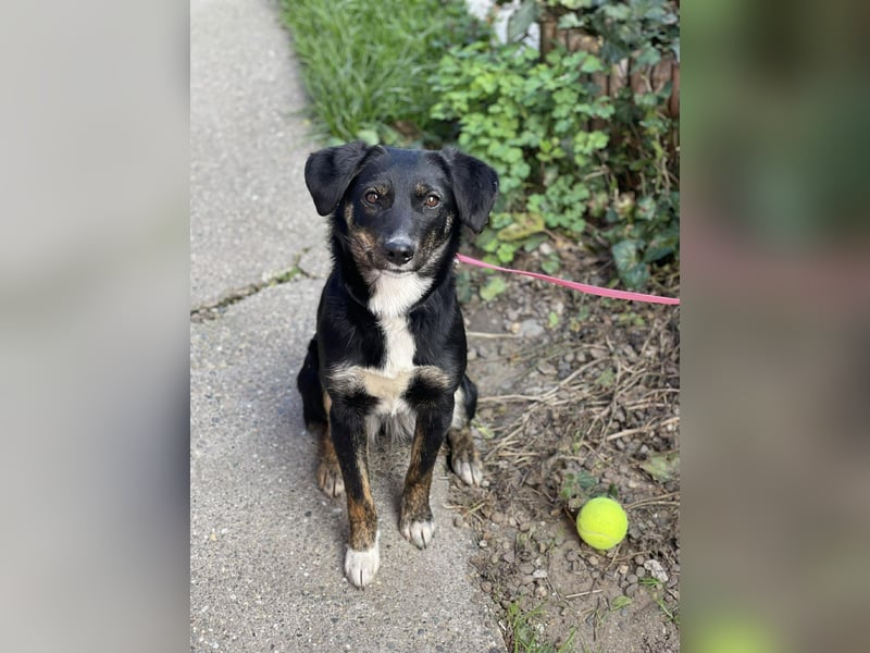 DORIS - Traumzuhause gesucht