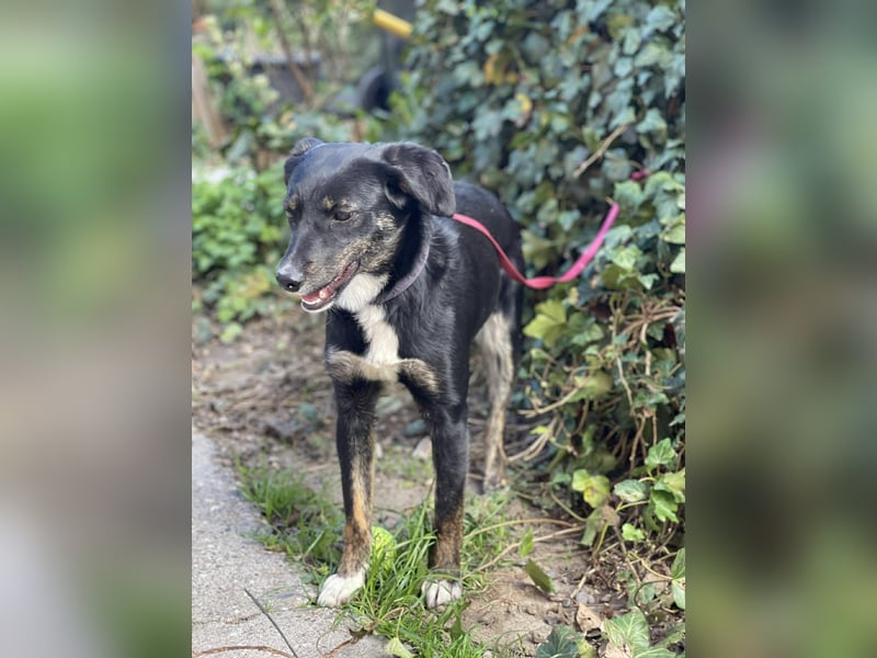 DORIS - Traumzuhause gesucht