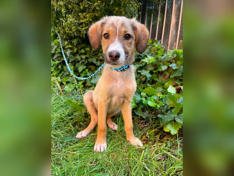 SWEETY - freundliches Mädchen