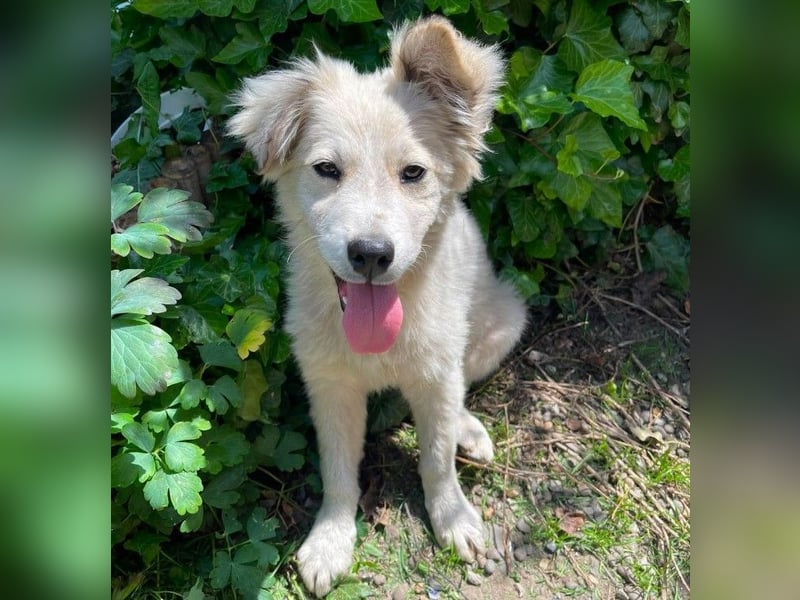 BETTY - wo findet sie ihr Glück?