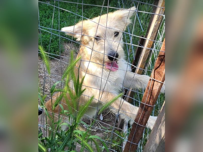 ERWIN - die kleine Knutschkugel