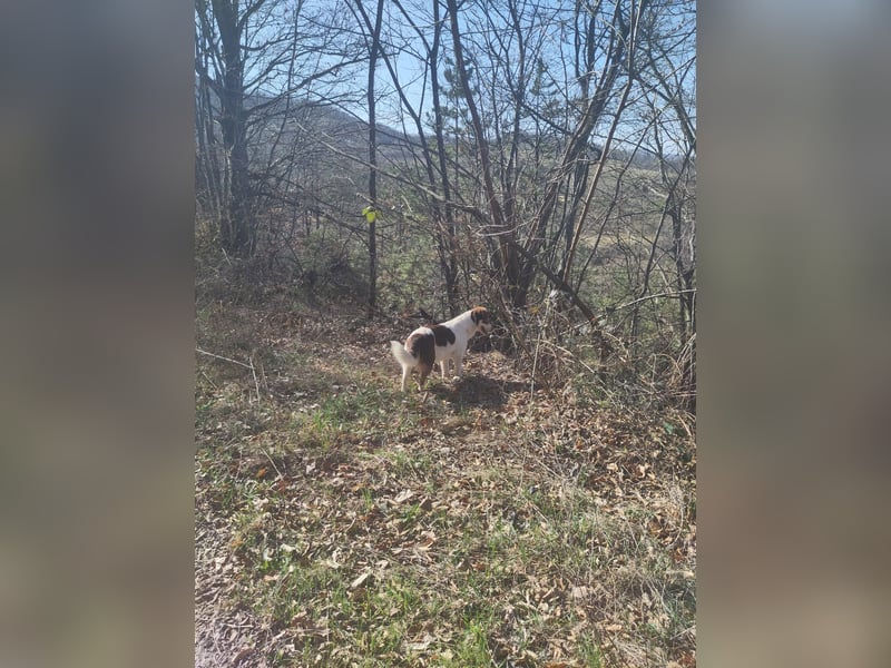 ELLA - eine tolle Freizeitpartnerin