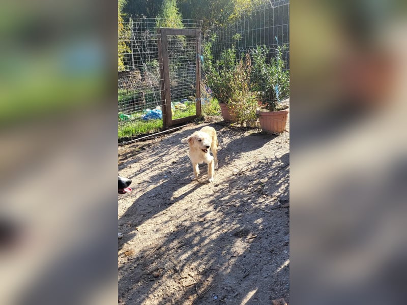 ERWIN - die kleine Knutschkugel