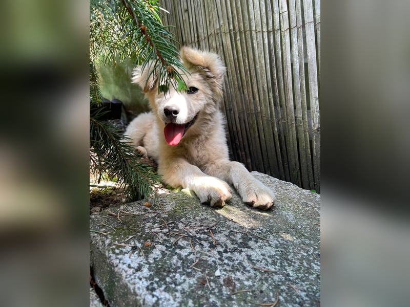 BETTY - wo findet sie ihr Glück?