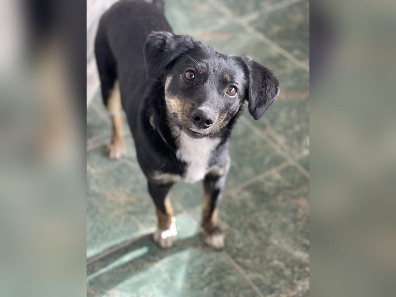 DORIS - Traumzuhause gesucht