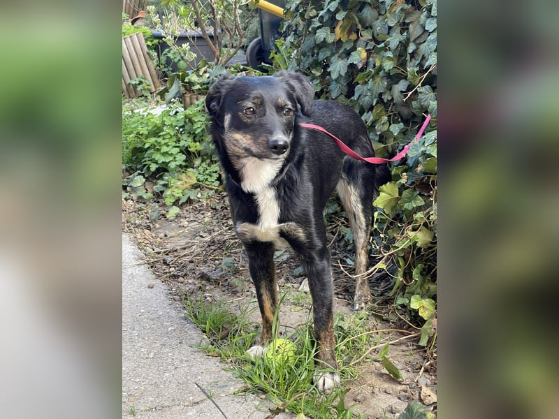 DORIS - Traumzuhause gesucht