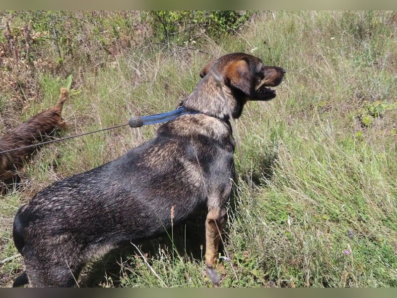 MAYA - tolle Freizeitpartnerin sucht ihr Glück
