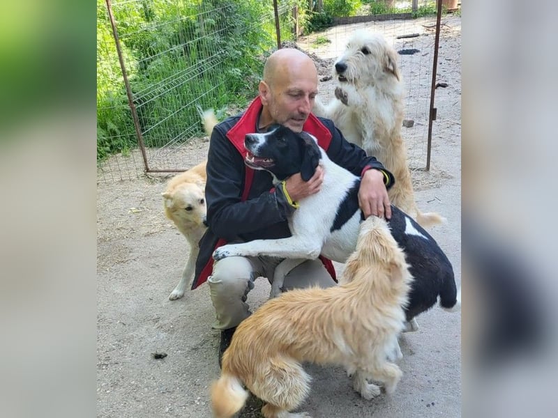 LUCA - ist bereit für Abenteuer *reserviert*